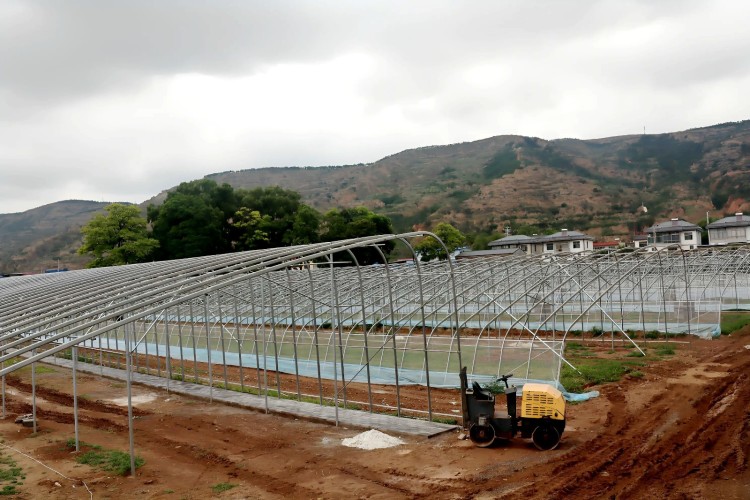 天水秦安县莲花镇：17座冬暖棚加速建设 激活乡村振兴新动能_fororder_1