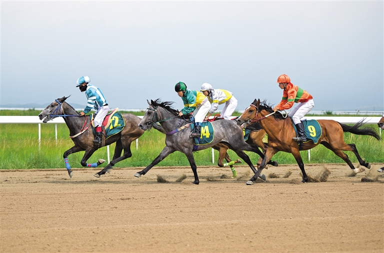 蒙古马首次亮相国家级竞速赛_fororder_4081612_wangxia_1751208847248_s