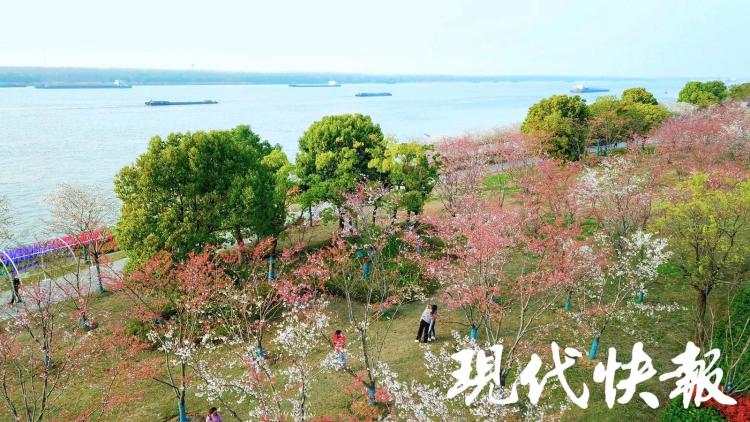 长江十年行 | 文润大江，解锁千年文脉的焕新密码