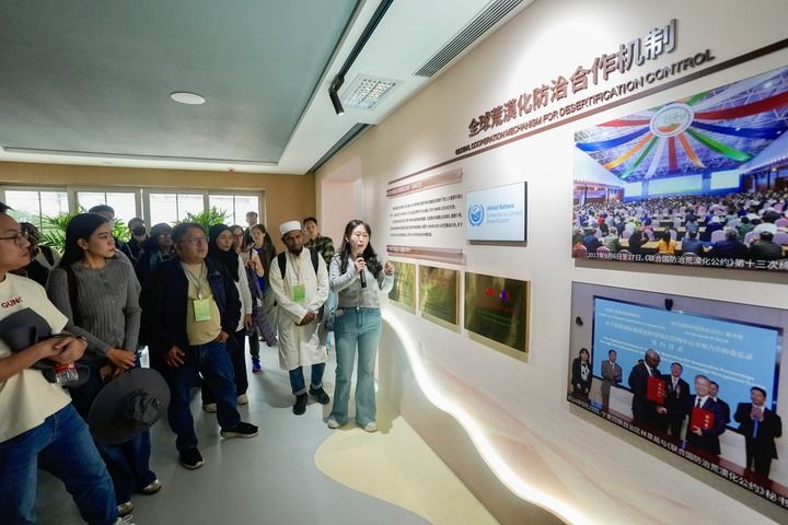 绿润丝路 沙海生金——全球荒漠化治理的中国智慧