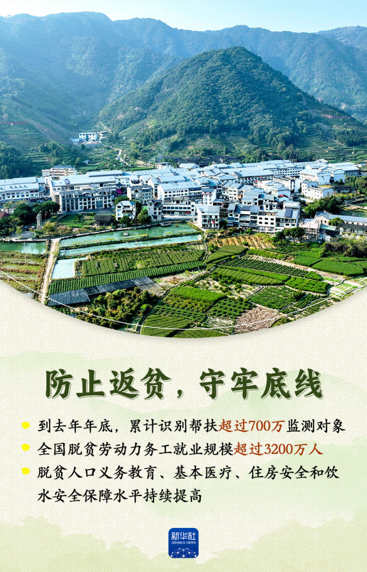 “农”墨重彩！2025年乡村振兴绘就壮美画卷