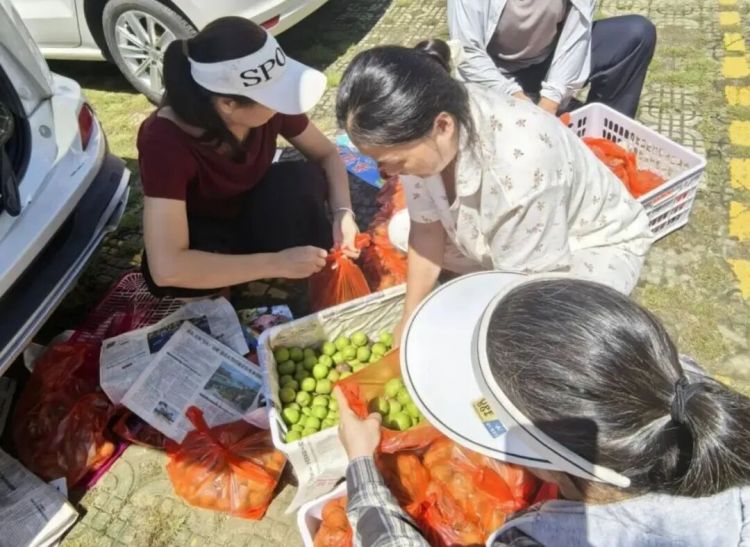 视频丨“鸡鸭鱼猪都被冲走了，也想把最好的送给你们”