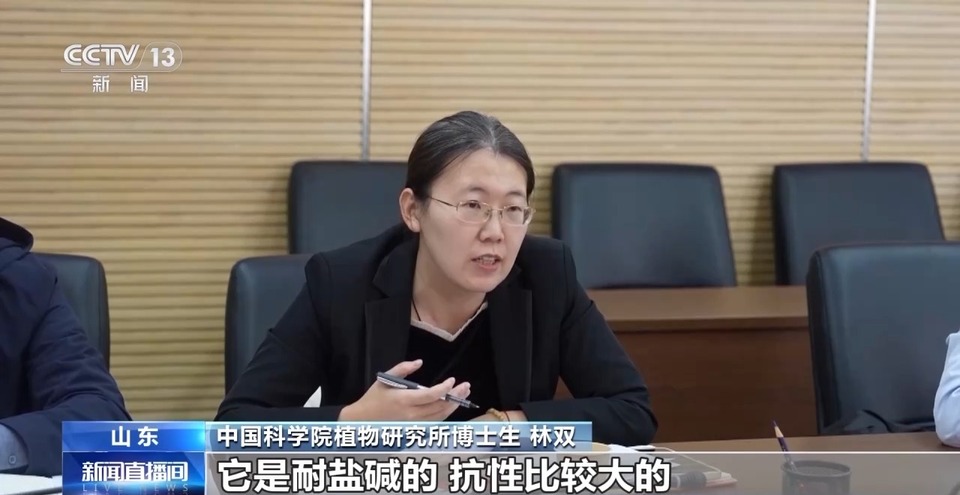 怎样培育耐盐碱经济作物？这位全国人大代表的建议来了