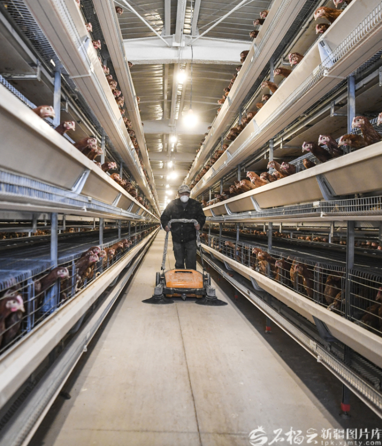 新疆影像7日（222）丨万象争春