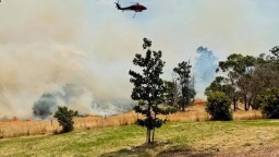 澳大利亚维多利亚州山火过火面积已达35万公顷