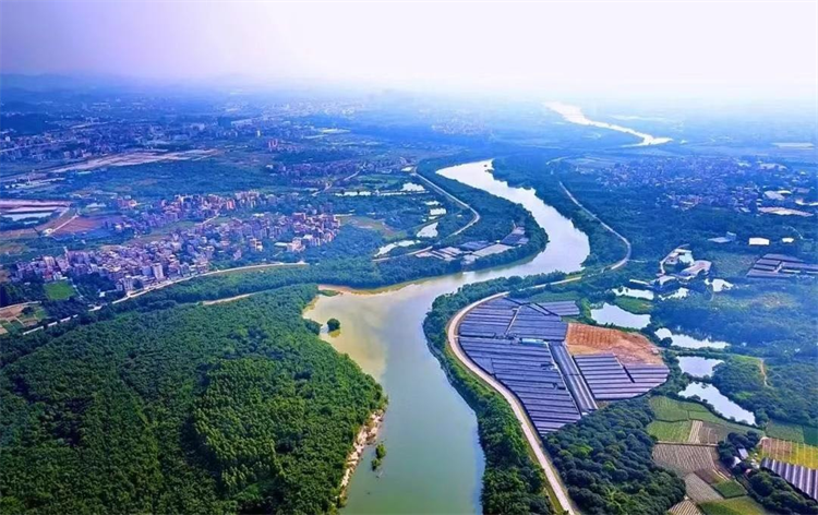 Small Cut, Big Change: Zhongluotan's "100-1000-10000 Project" Creates a New Blueprint for Common Prosperity