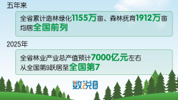 五年造林绿化1155万亩
