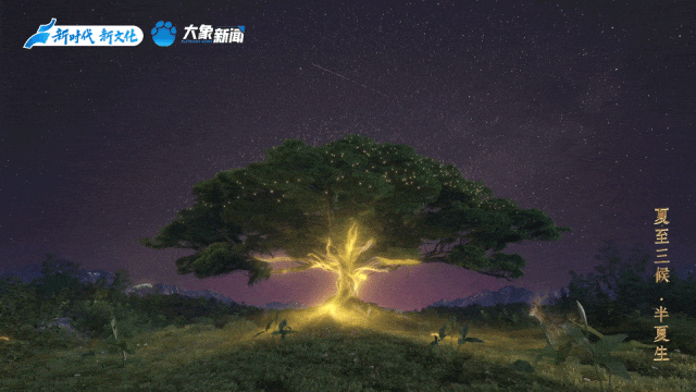 何以中国丨中国节气·夏至