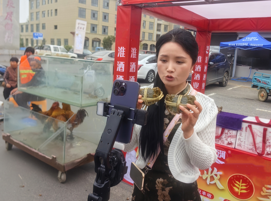 The 7th Wuhe Crab Festival Kicks Off: Using Crabs as a Medium to Paint a New Picture of Rural Revitalization_fororder_图片6