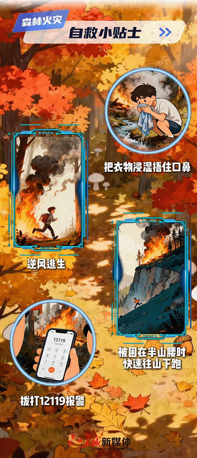 AI科普丨秋冬季森林火灾怎么防？这些要点要牢记