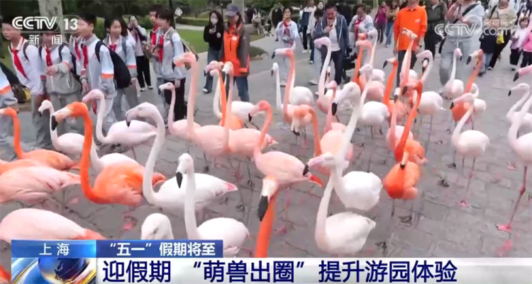 新爆点、新业态、新体验、新场景 “五一”假期文旅市场热度攀升