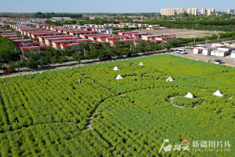 航拍新疆丨从平顶山到十三户瞰美丽乡村