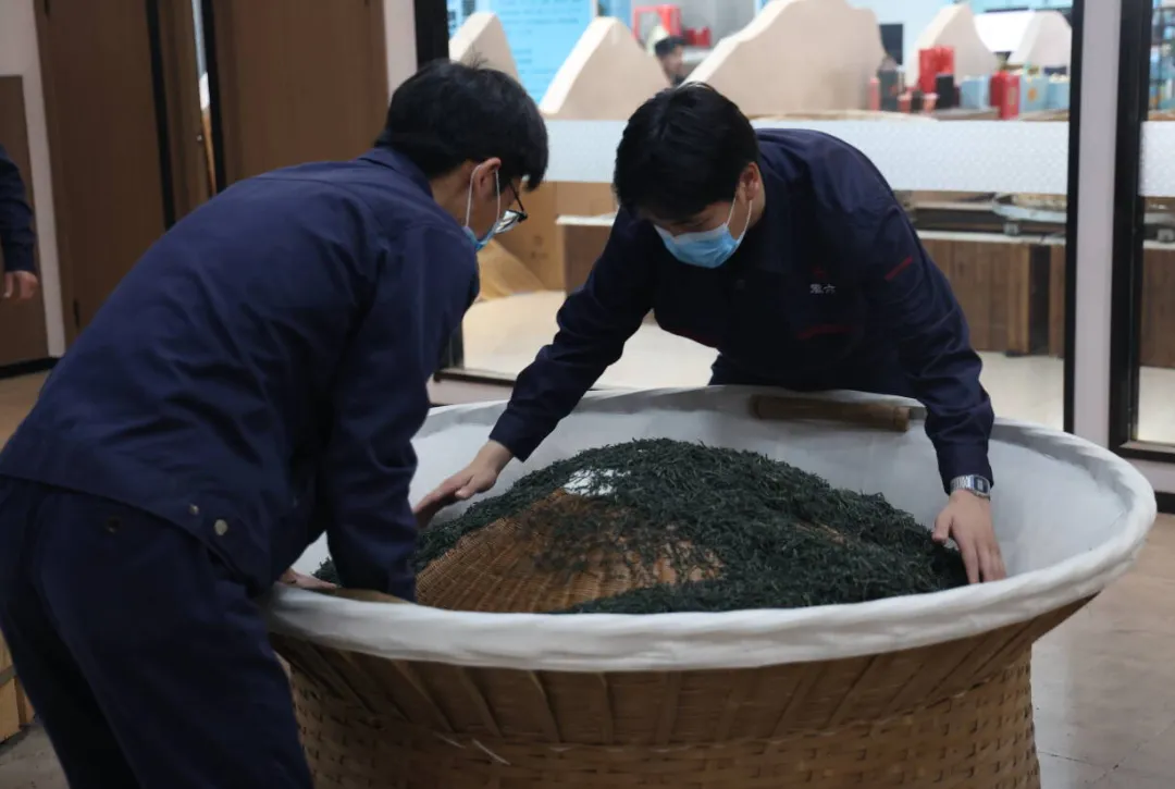 六安茶香里的振兴密码：一片叶子的全产业链发展之路_fororder_4