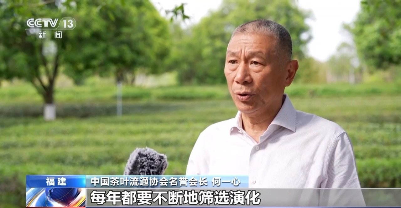 何以中国丨春茶开采 福建武夷山开展丰富茶旅文化活动