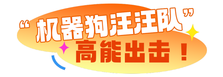 总台周末看点丨走出去，动起来！