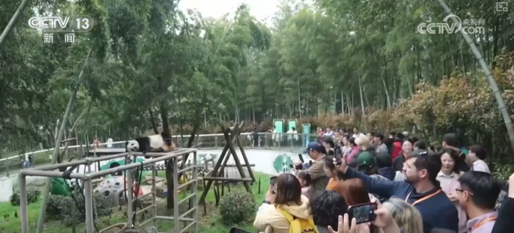 以文为媒、以诚待客 “丰富场景+优质体验”让海外游客读懂中国、爱上中国