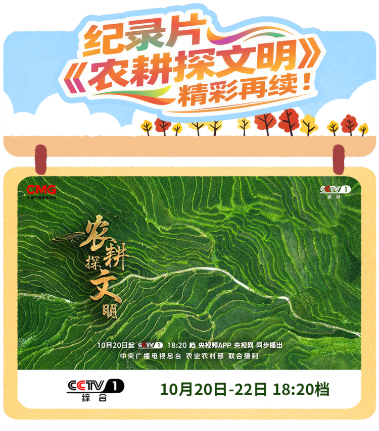 总台周看点丨锚定未来启新程