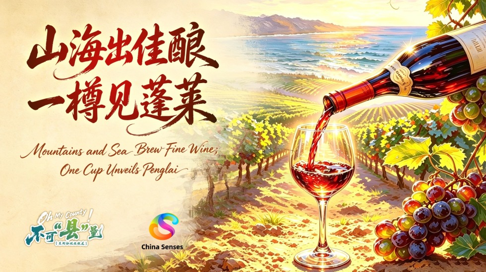 不可“县”量｜山海出佳酿 一樽见蓬莱_fororder_微信图片_20260626140949_2362_94
