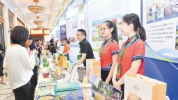 全国粮食和物资储备科技活动周在长沙启动