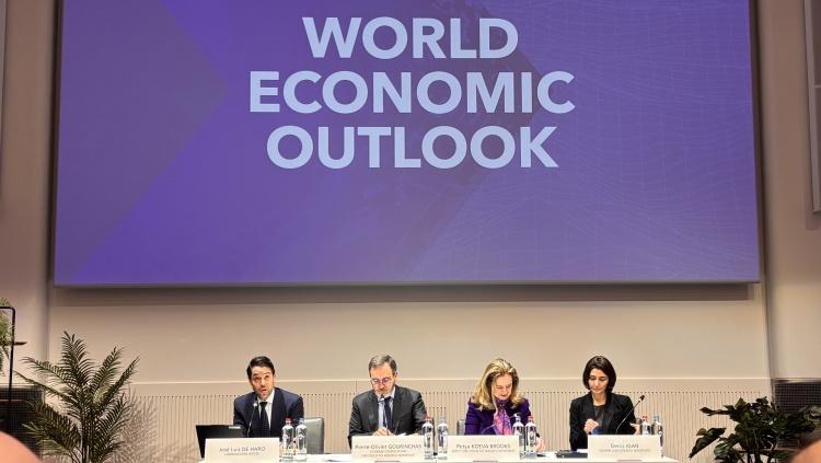 IMF上调中国经济增长预期