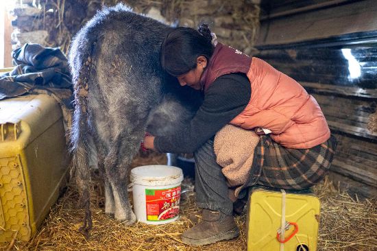 定日回访丨“10分钟，1间房！”后续来了