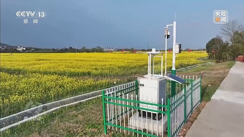 焦点访谈丨“人工智能+”如何打造智能经济新形态？