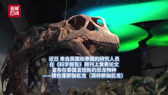 视频｜体重堪比九头亚洲象！泰国发现东南亚迄今最大恐龙_fororder_图片2