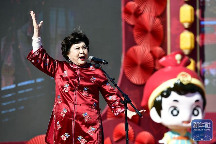 新春走基层丨胡集书会“曲山艺海”闹新春