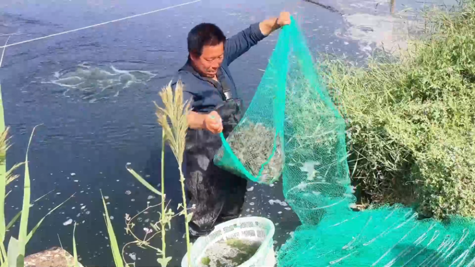新疆和田“沙漠海鲜”批量上市