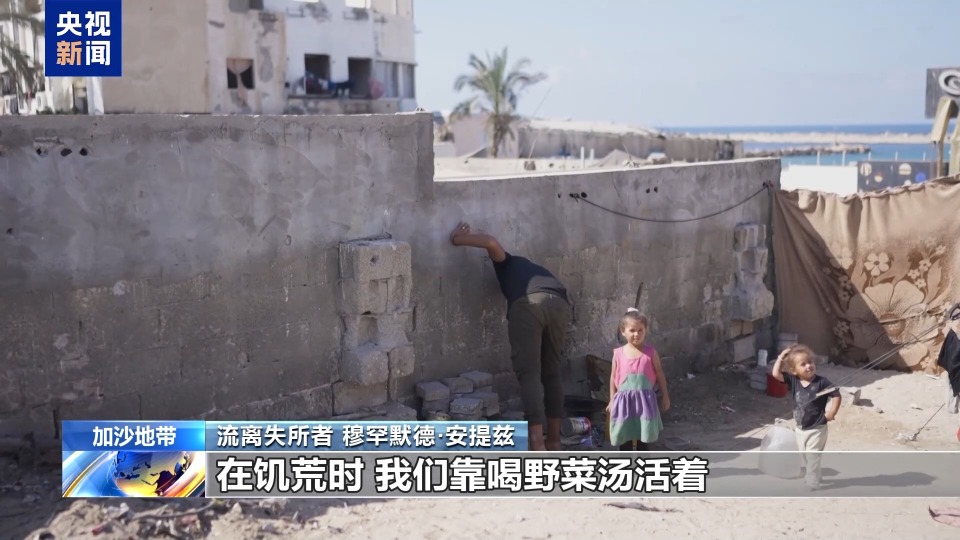 视频丨加沙停火一个月 安提兹一家仍在为生存挣扎