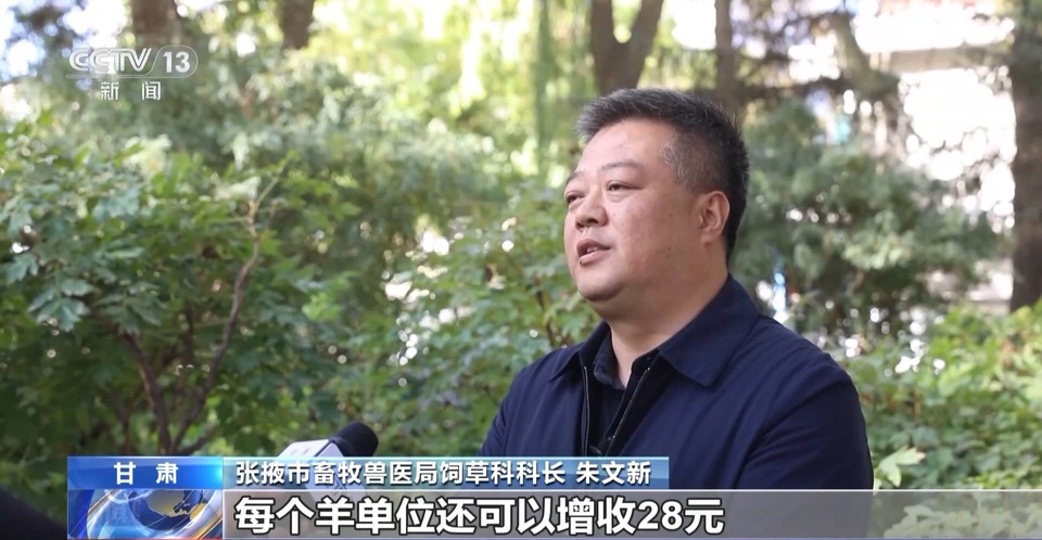 给草原放个假~祁连山20万头牛羊要下山“借牧”啦