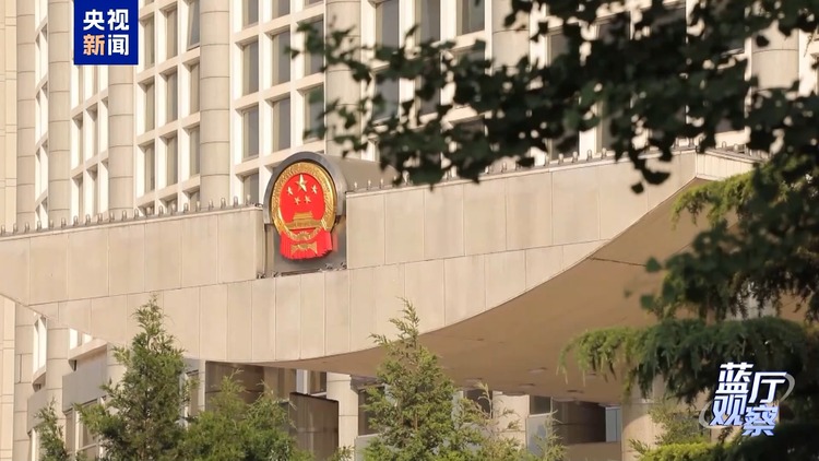 蓝厅观察丨从这场记者会读懂中国外交的坚定从容