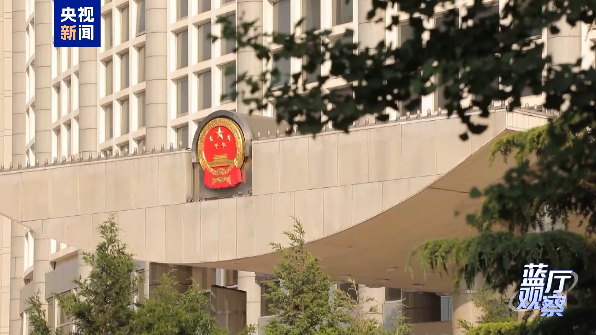 蓝厅观察丨从这场记者会读懂中国外交的坚定从容
