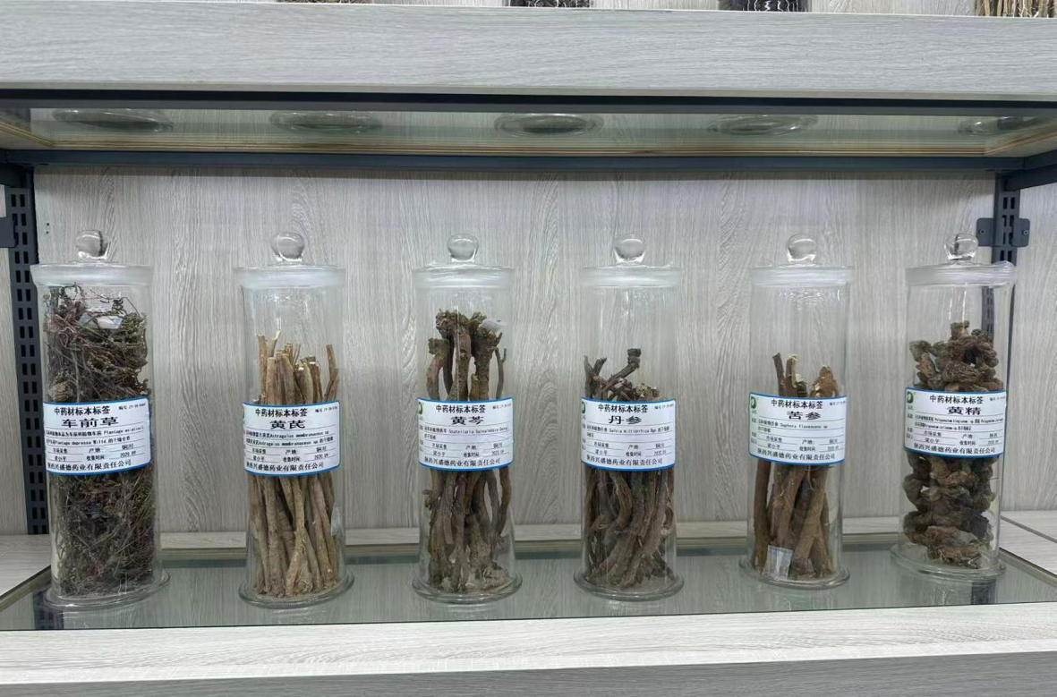 From the Hometown of Sun Simiao to a Modern City of Traditional Chinese Medicine Wellness: Tongchuan's Millennial Medical Heritage Lives On_fororder_图片4