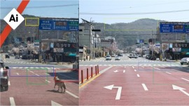 真相来了 | 韩国“狼出逃”刷屏 一张AI现场图骗过多方