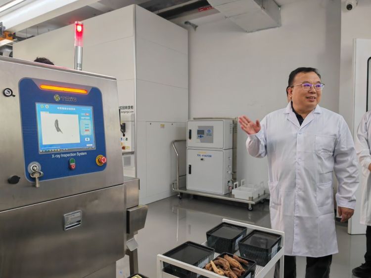 活力中国调研行|“细胞工厂”涌现无限可能