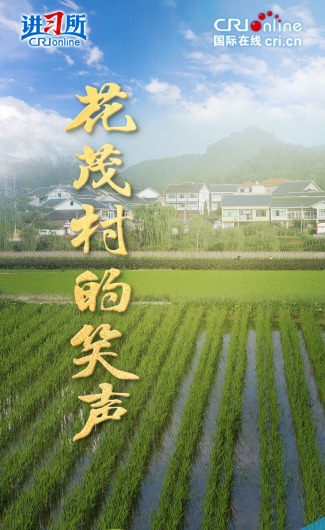 花茂村的笑声_fororder_封面图-竖