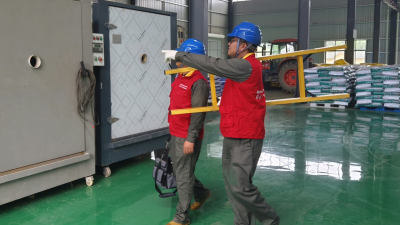 Zhejiang Wenzhou: Power Services Help Increase Farmers' Incomes