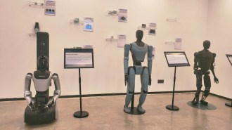 牢记嘱托 感恩奋进——安徽往前赶|“00后”团队打造“机器人管家” 智能机器人产业集群加速崛起