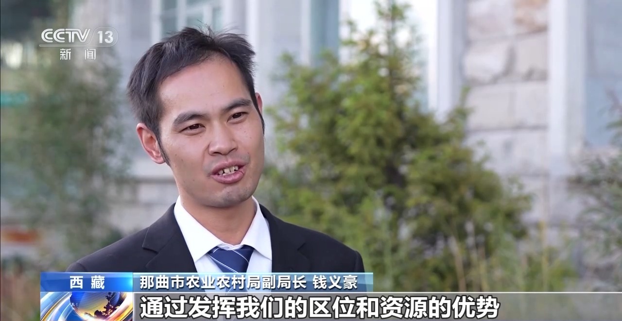 搬新家、科学放牧……去那曲草原看牧民们的新生活