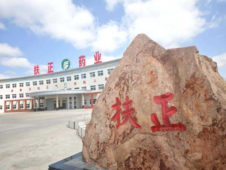 【2025质量甘肃行】扶正药业：全链控质强陇药 带农增收践"兴陇"_fororder_1扶正药业