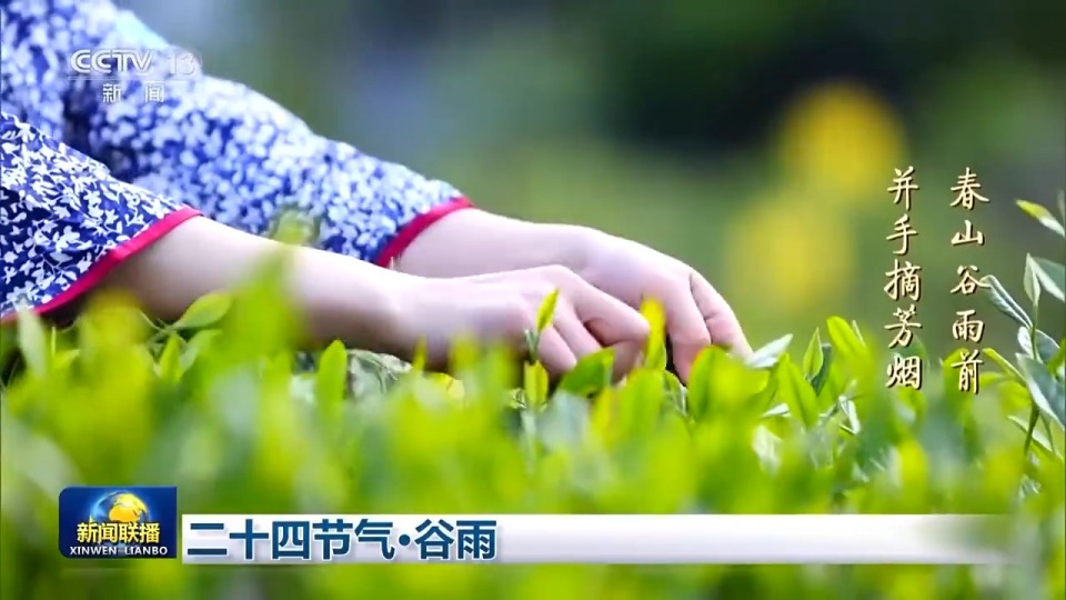 文化中国行丨二十四节气·谷雨 雨水增多 草木峥嵘