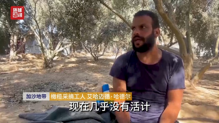 听鉴世界｜加沙大量橄榄树被毁 榨油产业遭遇重创