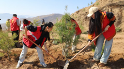 天水清水：植树添新绿 生态谱华章