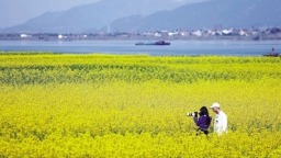 富春江畔春色浓