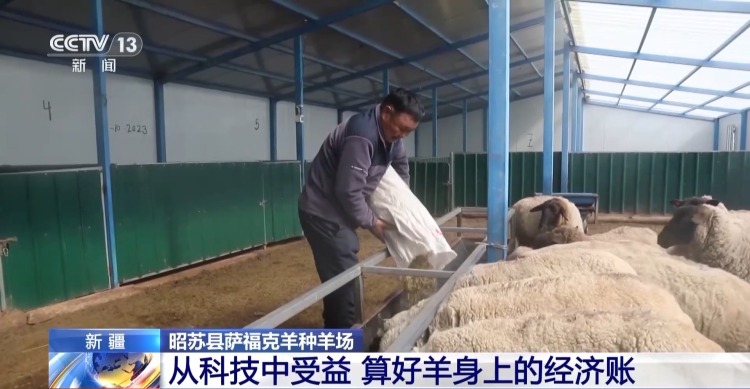 羊咩咩穿上了高科技“新衣”！来看新疆伊犁河谷牲畜春季转场