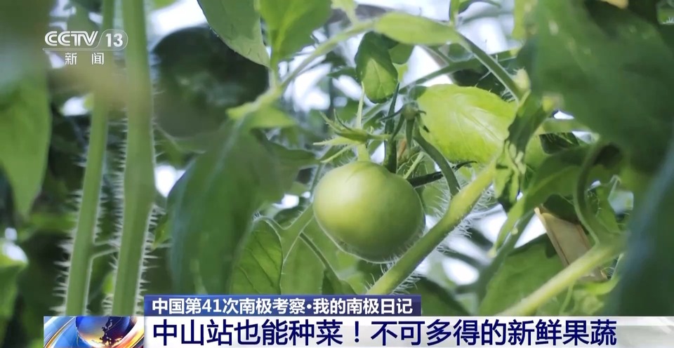 我的南极日记丨中山站里长啥样？大家吃得怎么样？一探究竟