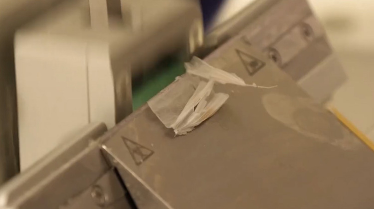 西班牙研究人员利用鱼鳞研发人工角膜 或为角膜患者重见光明带来希望