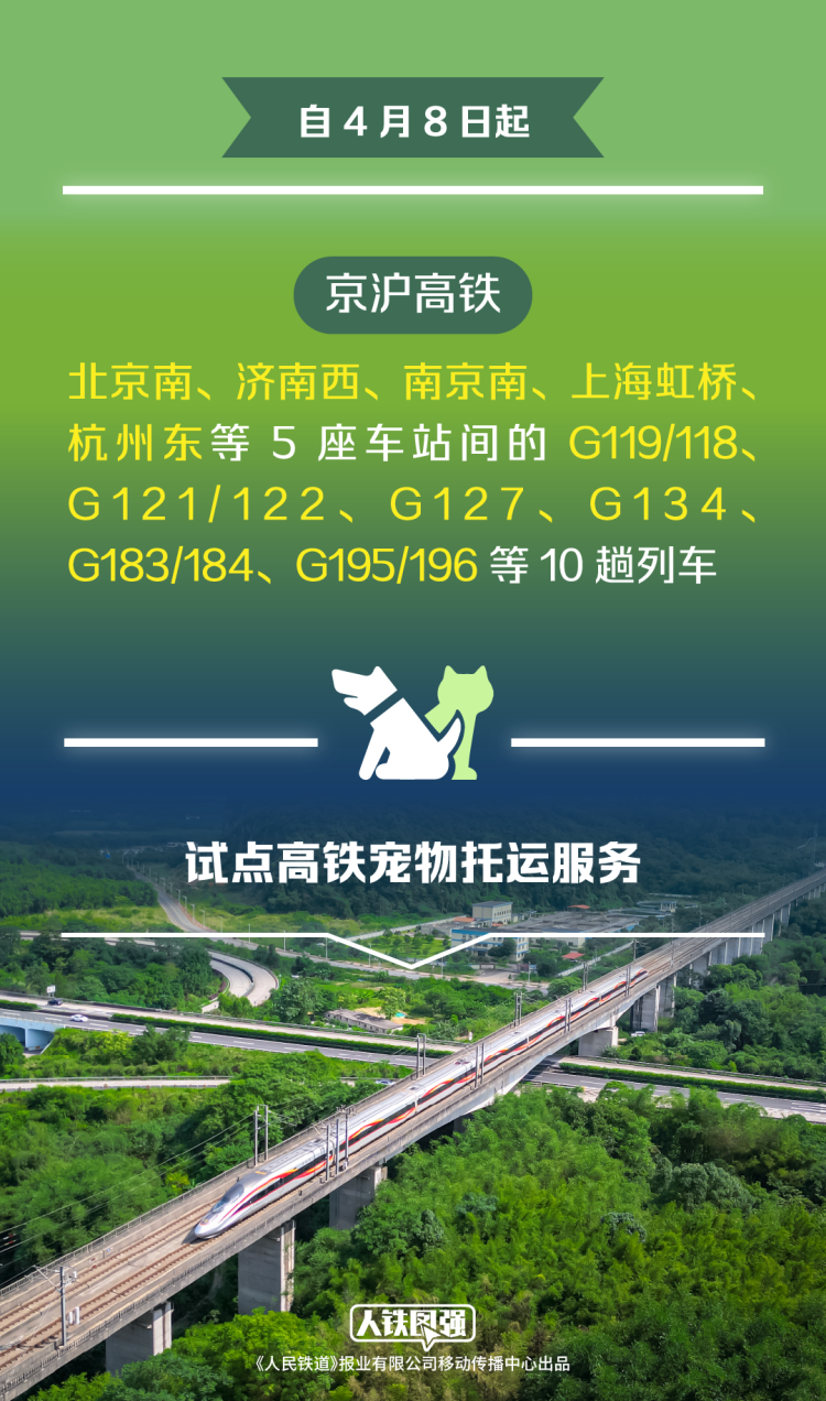 宠物猫狗可坐高铁了！铁路12306推出“宠物托运”功能