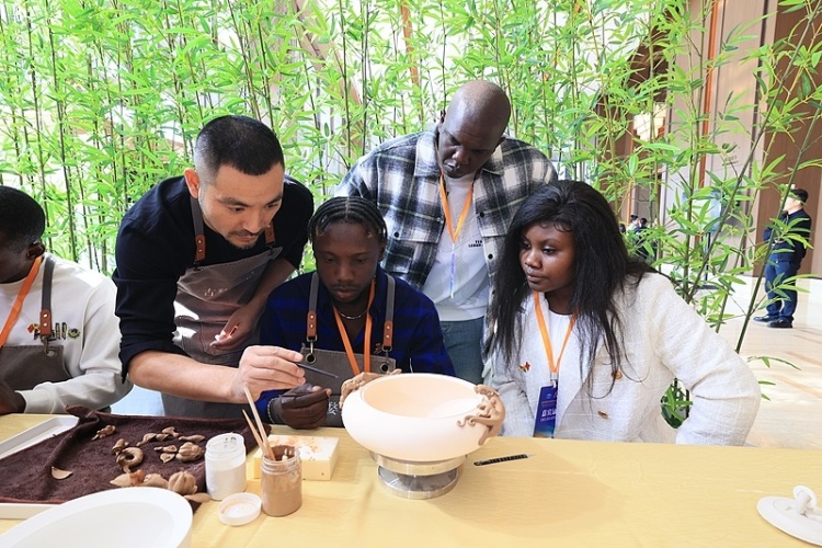 闪评 | 专家：开启外交关系70周年之际 中非将继续深化合作交流 携手推动全球南方发展振兴